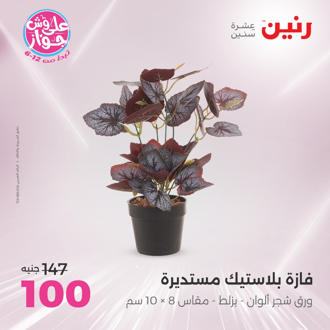 raneen offers from 1jul to 3jun 2025 عروض رنين من 1 يوليو حتى 3 يونيو 2025 صفحة رقم 24